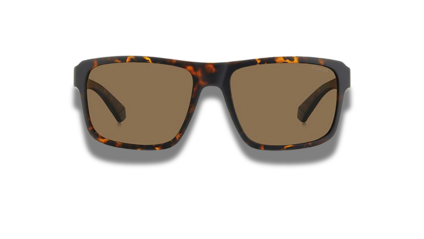 POLAROID PLD 2158/S TORTOISE MATTE BROWN